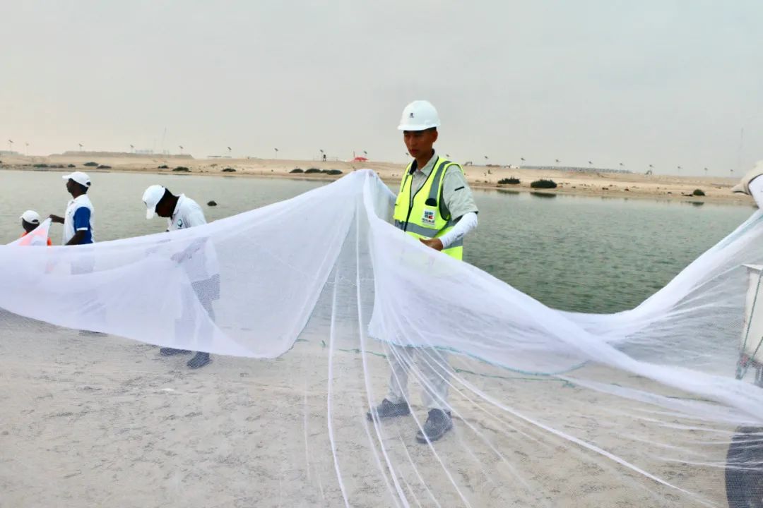 拉斯维加斯9888(中国游)官方网站