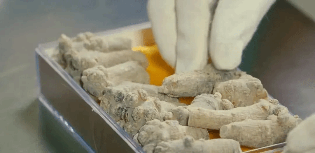 拉斯维加斯9888(中国游)官方网站