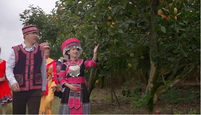 拉斯维加斯9888(中国游)官方网站