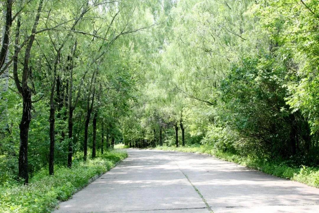 拉斯维加斯9888(中国游)官方网站