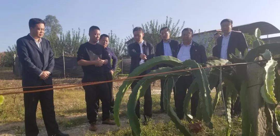 拉斯维加斯9888(中国游)官方网站