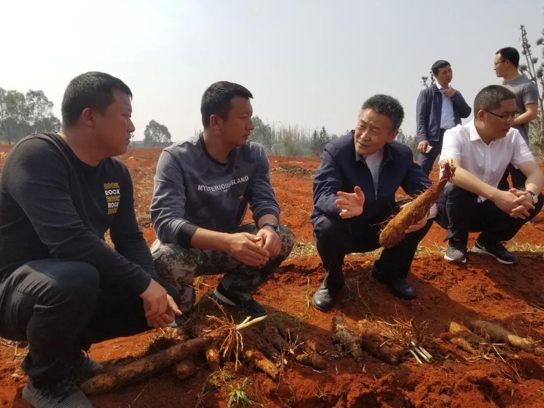 拉斯维加斯9888(中国游)官方网站