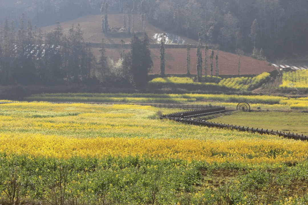 拉斯维加斯9888(中国游)官方网站
