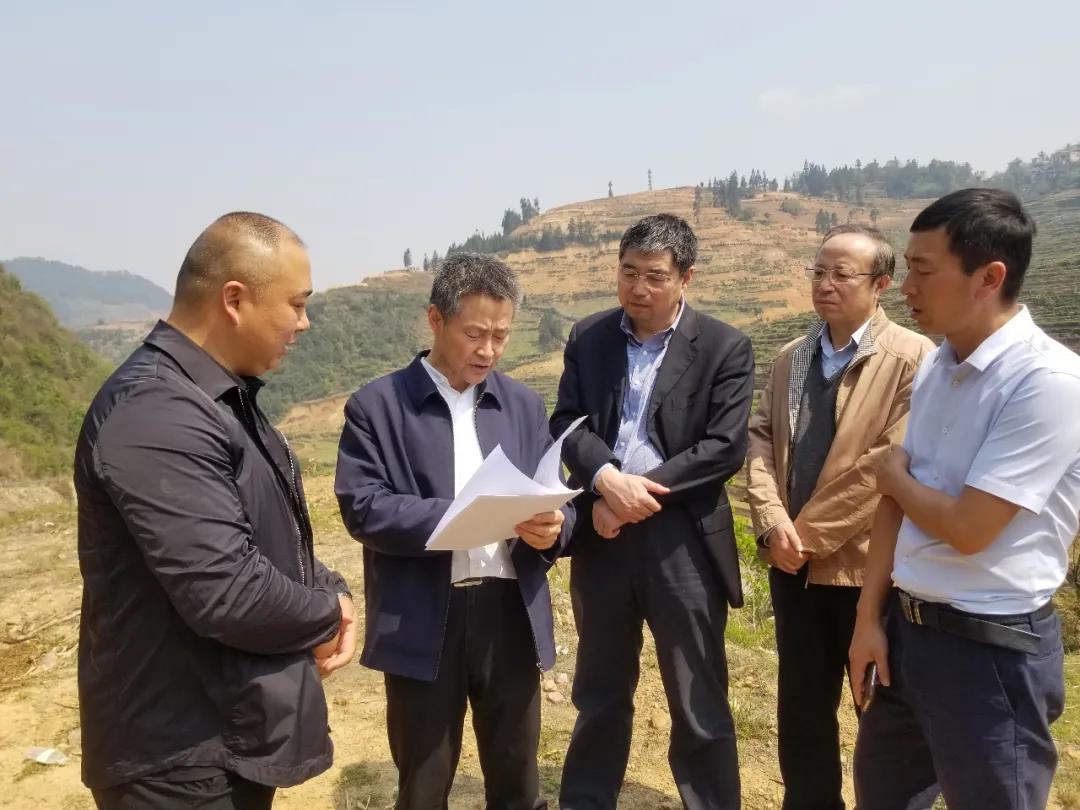 拉斯维加斯9888(中国游)官方网站